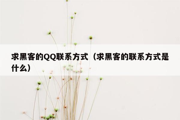 求黑客的QQ联系方式（求黑客的联系方式是什么）