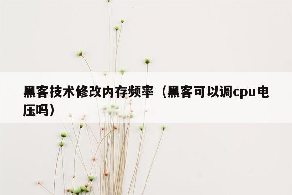 黑客技术修改内存频率（黑客可以调cpu电压吗）