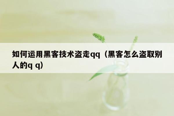 如何运用黑客技术盗走qq（黑客怎么盗取别人的q q）