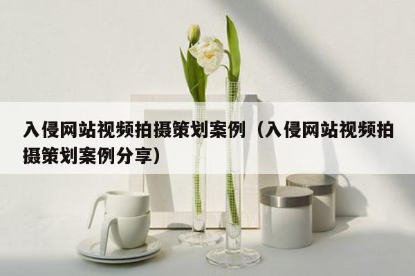 入侵网站视频拍摄策划案例（入侵网站视频拍摄策划案例分享）