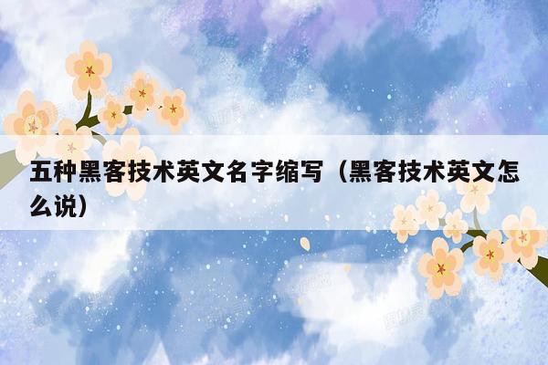 五种黑客技术英文名字缩写（黑客技术英文怎么说）