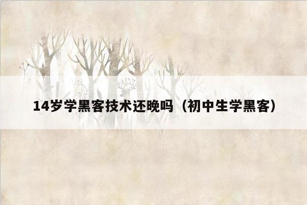 14岁学黑客技术还晚吗（初中生学黑客）