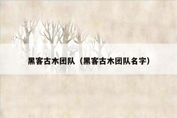 黑客古木团队（黑客古木团队名字）