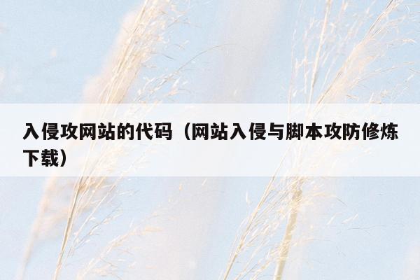 入侵攻网站的代码（网站入侵与脚本攻防修炼下载）