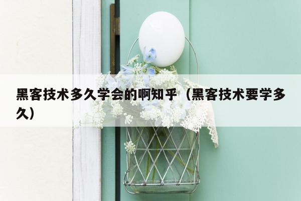 黑客技术多久学会的啊知乎（黑客技术要学多久）