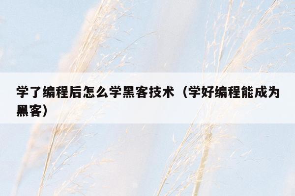学了编程后怎么学黑客技术（学好编程能成为黑客）