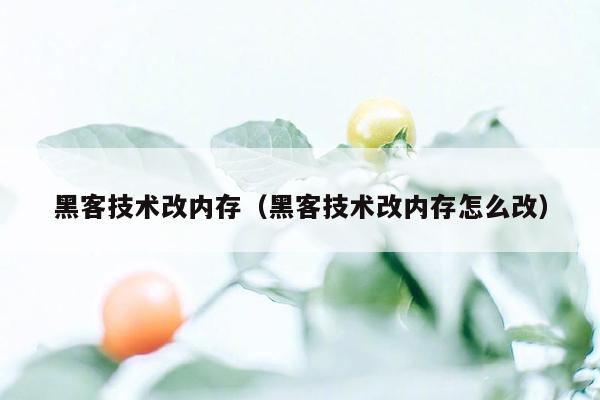 黑客技术改内存（黑客技术改内存怎么改）