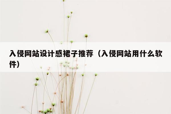 入侵网站设计感裙子推荐（入侵网站用什么软件）