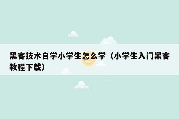 黑客技术自学小学生怎么学（小学生入门黑客教程下载）
