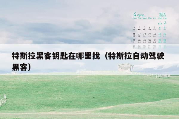 特斯拉黑客钥匙在哪里找（特斯拉自动驾驶 黑客）