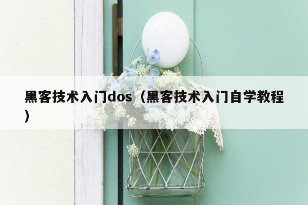 黑客技术入门dos（黑客技术入门自学教程）