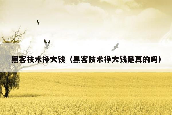 黑客技术挣大钱（黑客技术挣大钱是真的吗）