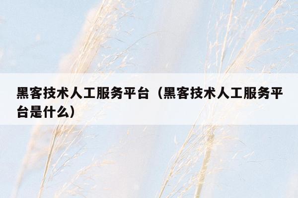 黑客技术人工服务平台（黑客技术人工服务平台是什么）