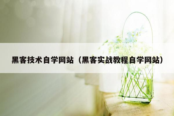 黑客技术自学网站（黑客实战教程自学网站）