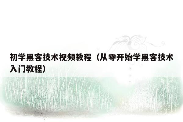 初学黑客技术视频教程（从零开始学黑客技术入门教程）