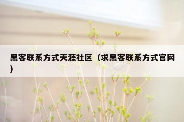 黑客联系方式天涯社区（求黑客联系方式官网）