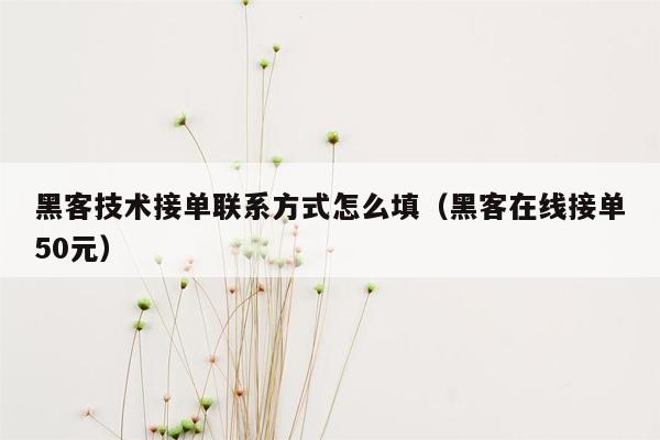 黑客技术接单联系方式怎么填（黑客在线接单50元）
