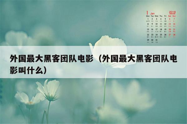 外国最大黑客团队电影（外国最大黑客团队电影叫什么）