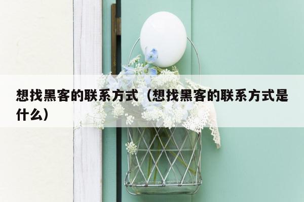想找黑客的联系方式（想找黑客的联系方式是什么）