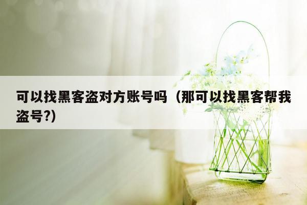 可以找黑客盗对方账号吗（那可以找黑客帮我盗号?）