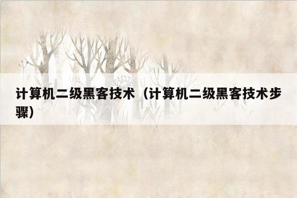 计算机二级黑客技术（计算机二级黑客技术步骤）