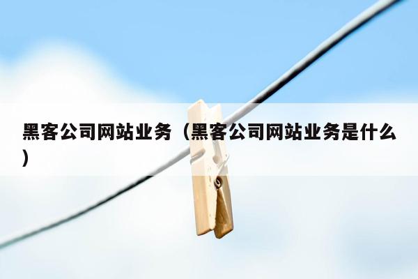 黑客公司网站业务（黑客公司网站业务是什么）