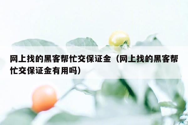 网上找的黑客帮忙交保证金（网上找的黑客帮忙交保证金有用吗）
