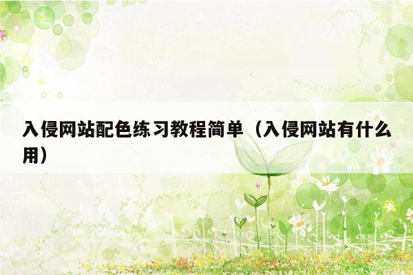入侵网站配色练习教程简单（入侵网站有什么用）