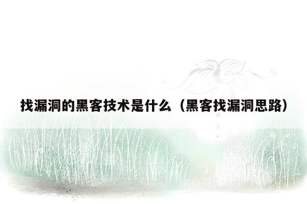 找漏洞的黑客技术是什么（黑客找漏洞思路）