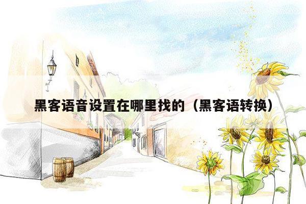 黑客语音设置在哪里找的（黑客语转换）