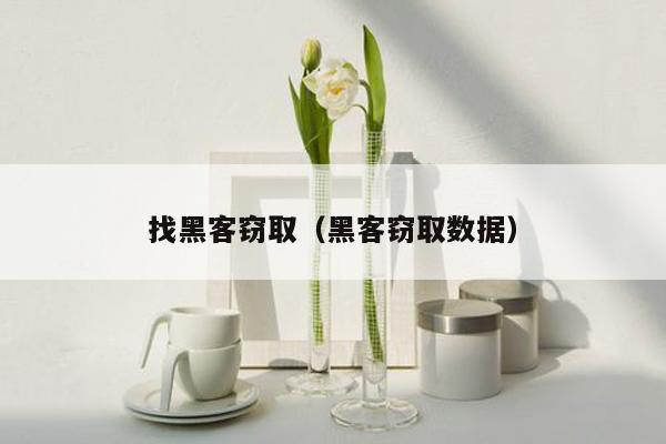 找黑客窃取（黑客窃取数据）