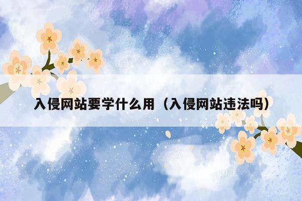 入侵网站要学什么用（入侵网站违法吗）