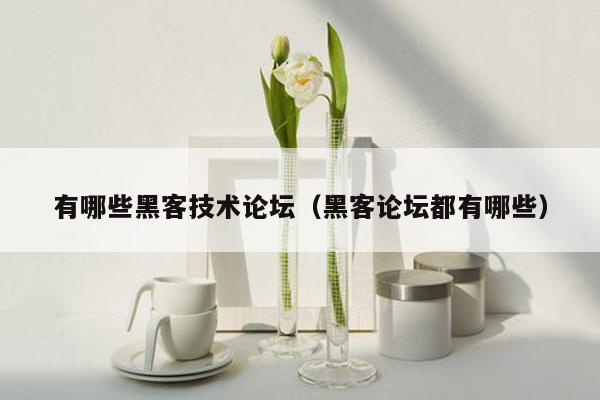 有哪些黑客技术论坛（黑客论坛都有哪些）