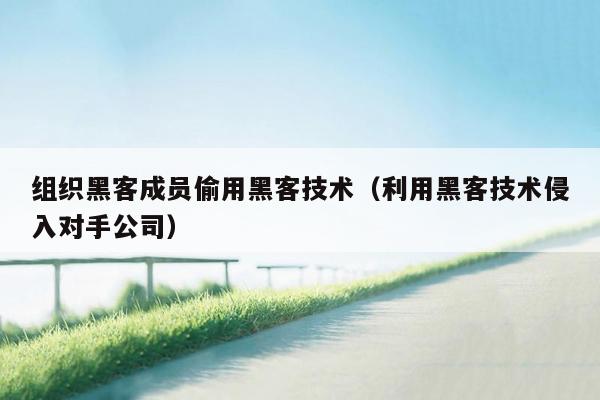组织黑客成员偷用黑客技术（利用黑客技术侵入对手公司）