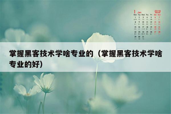 掌握黑客技术学啥专业的（掌握黑客技术学啥专业的好）