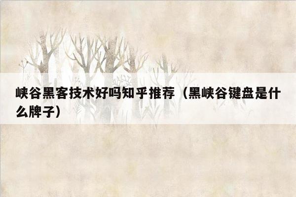 峡谷黑客技术好吗知乎推荐（黑峡谷键盘是什么牌子）