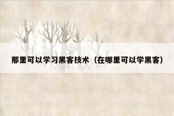 那里可以学习黑客技术（在哪里可以学黑客）