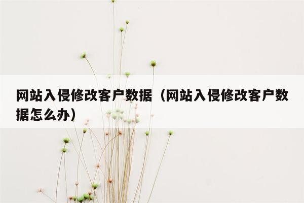 网站入侵修改客户数据（网站入侵修改客户数据怎么办）