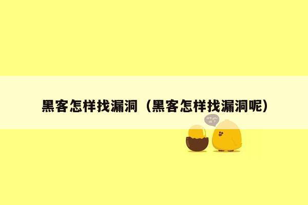 黑客怎样找漏洞（黑客怎样找漏洞呢）