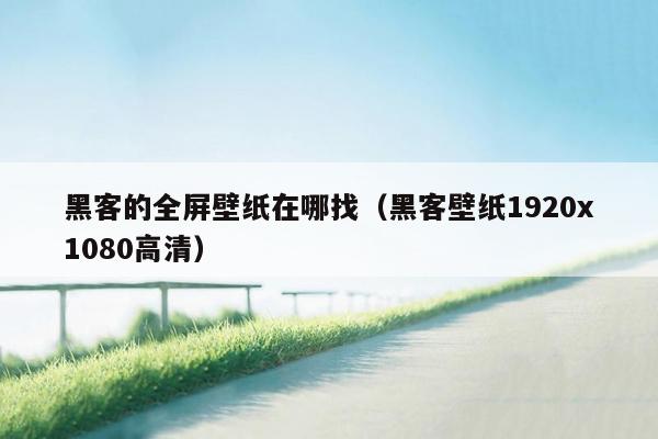 黑客的全屏壁纸在哪找（黑客壁纸1920x1080高清）