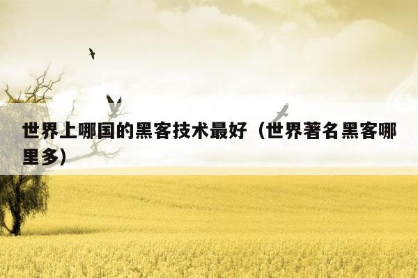 世界上哪国的黑客技术最好（世界著名黑客哪里多）