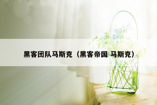黑客团队马斯克（黑客帝国 马斯克）