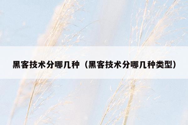 黑客技术分哪几种（黑客技术分哪几种类型）