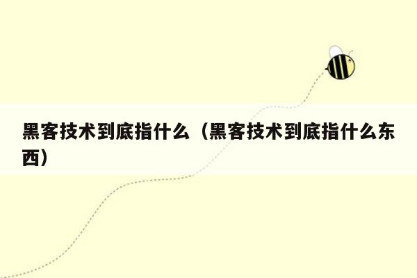 黑客技术到底指什么（黑客技术到底指什么东西）