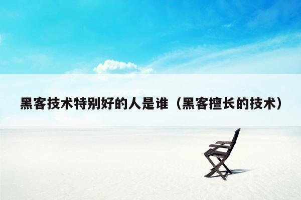 黑客技术特别好的人是谁（黑客擅长的技术）