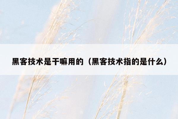 黑客技术是干嘛用的（黑客技术指的是什么）