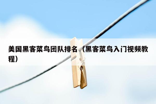 美国黑客菜鸟团队排名（黑客菜鸟入门视频教程）