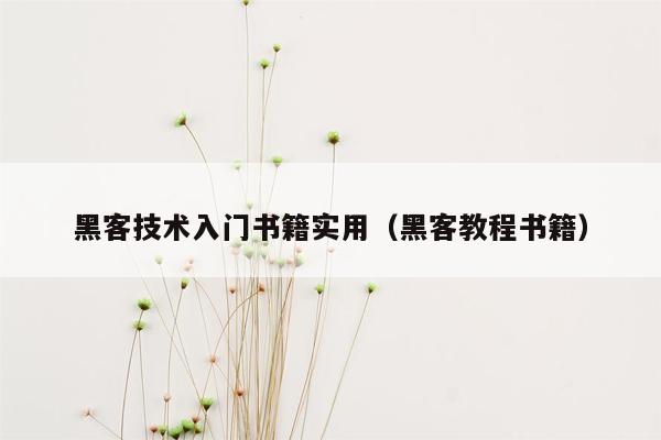 黑客技术入门书籍实用（黑客教程书籍）