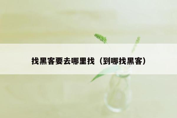 找黑客要去哪里找（到哪找黑客）