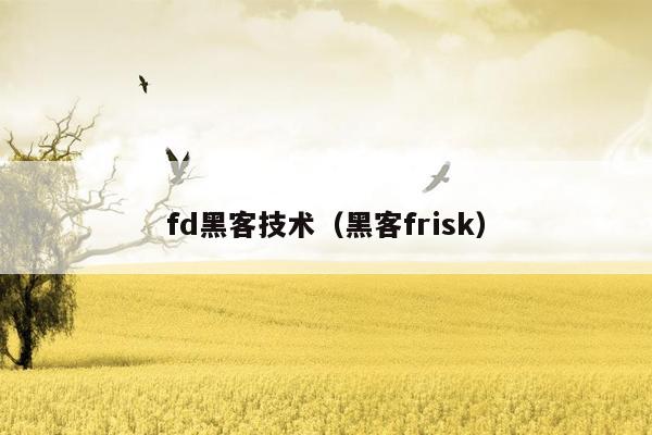 fd黑客技术（黑客frisk）